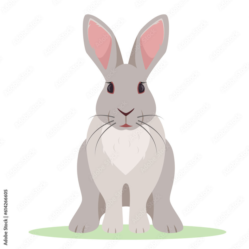 Obraz premium Grey rabbit sitting on grass. Wild or Farm animal or pet icon. Vector illustration isolated on white background.