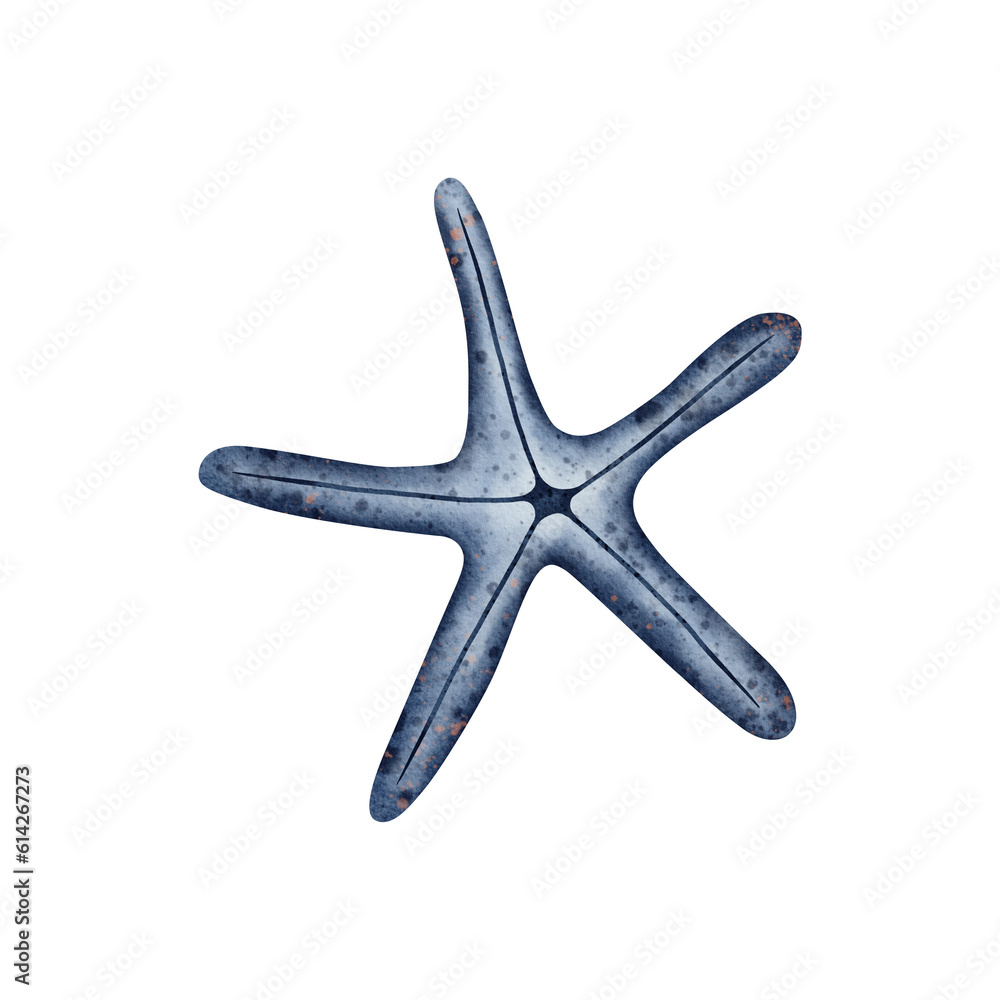 Cute Starfish in blue color on isolated background. Underwater Animal. Hand drawn watercolor illustration sea star for nursery, wall sticker, baby shower, book Cute Starfish in blue color on isolated background. Underwater Animal. Hand drawn watercolor illustration sea star for nursery, wall sticker, baby shower, book