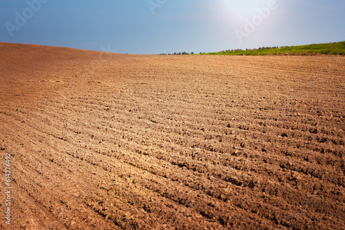 Row plowed field with cereals sown against blue skyRural landscape. Row plowed field with cereals sown or prepared field for planting against blue sky. Agricultural land.
