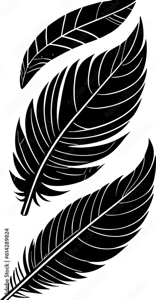 Obraz premium black stylized graphic drawing of three bird feathers without background, isolated element