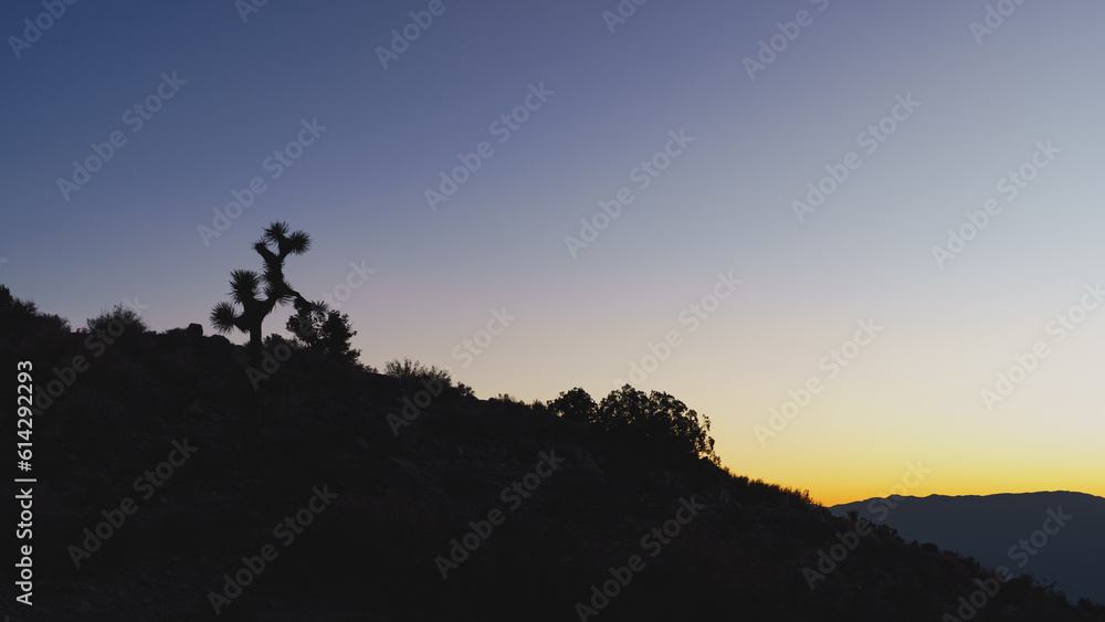 Obraz premium keys view sunset, joshua tree national park