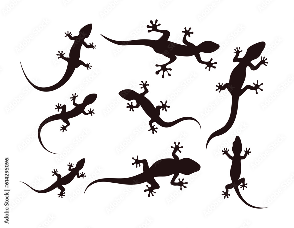 Lizard silhouette with many options, Gecko crawling climbing, Reptile lover