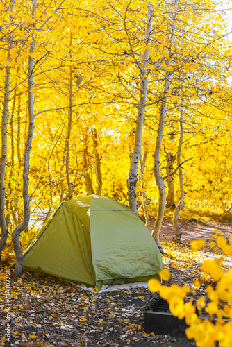 tent in autumn forest