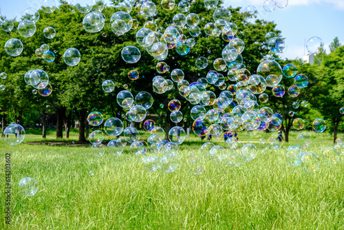 公園でのシャボン玉風景