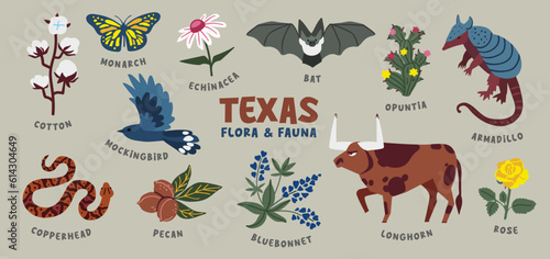 Canvas Print Texas animals and plants. Vector illustration. Clipart collection