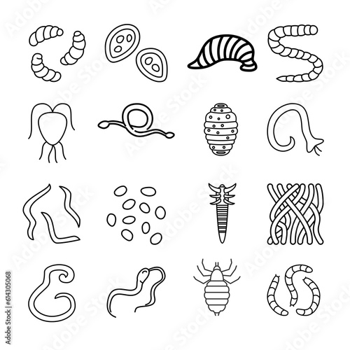 Parasites flat line icons set. Intestinal worm, worm, sandfly, flea, tick, leech, qiardia, dengue mosquito illustration.