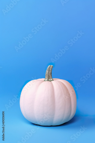 A white pumpkin sitting on top of a blue surface. Generative AI.