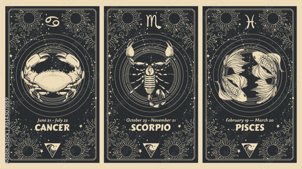 Zodiac signs Cancer, Scorpio, Pisces, water element, mystical astrology card set, horoscope banner with realistic pattern on black background for stories. Vector boho hand drawing, magic design.