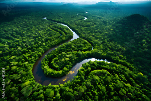 Aerial view of the Amazon rainforest in Brazil, South America. Green forest. Bird's-eye view,generative ai