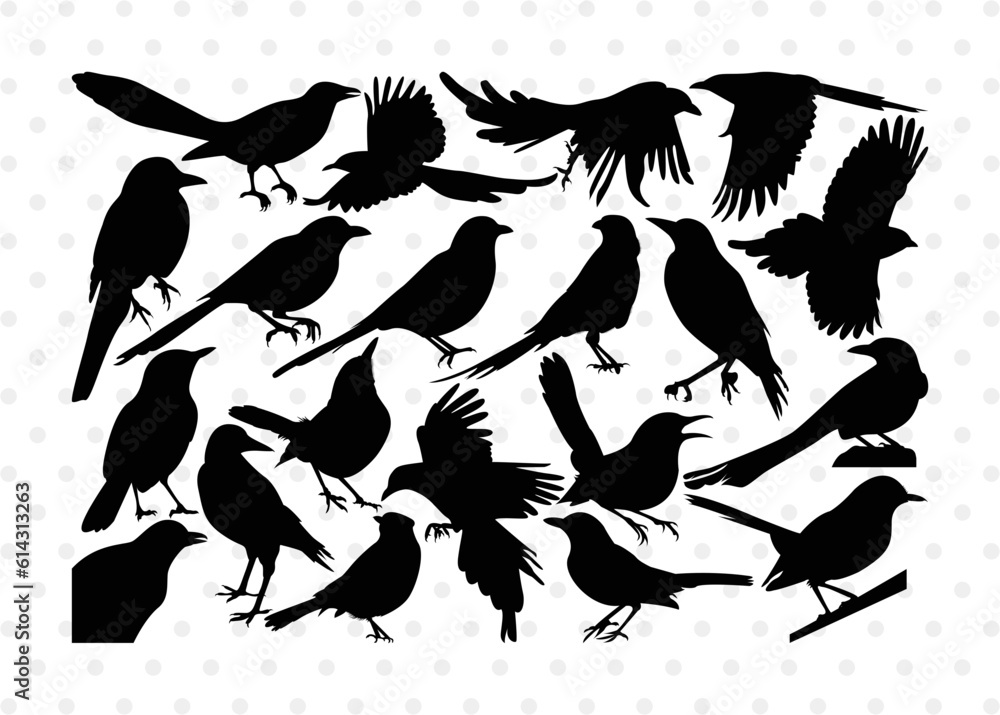 Obraz premium Magpie Bird Silhouette, Magpie Bird SVG, Magpie Svg, Bird Svg, Flying bird Svg, Sitting bird Svg, Magpie Bird Bundle, SB00292