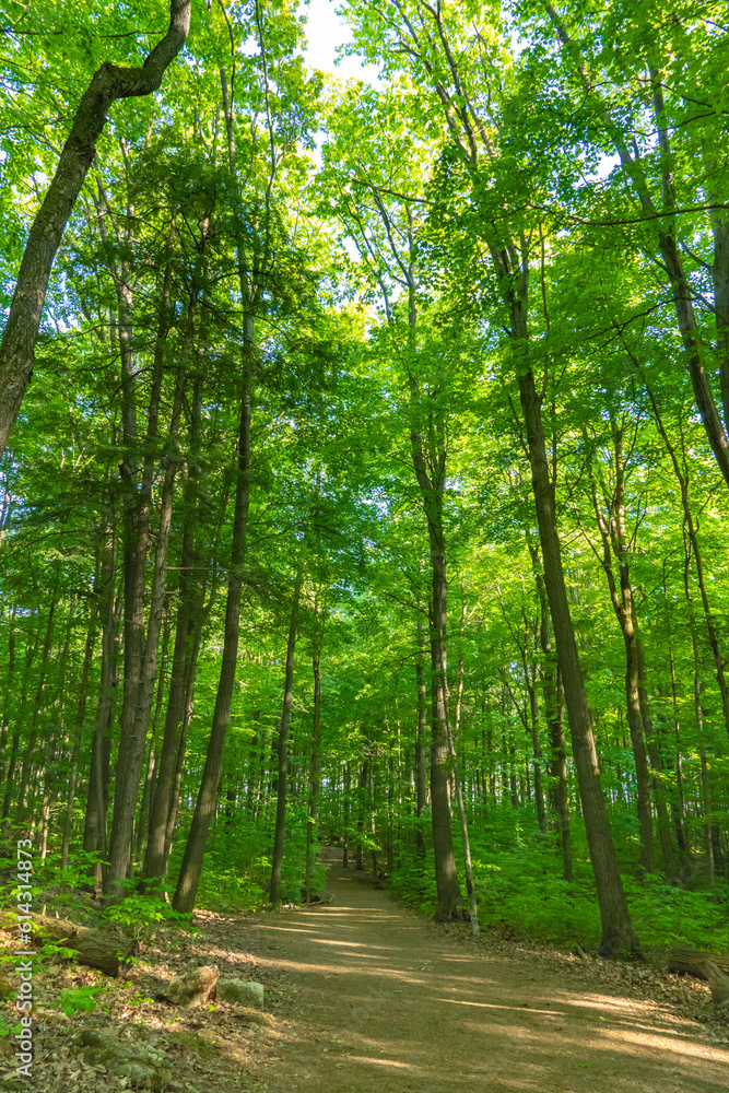 Rattlesnake Point Conservation Area hiking trail with green trees at summer. Natural view located in Ontario, Canada. Outdoor activities and attractions for traveler’s visitors to enjoy. Rattlesnake Point Conservation Area hiking trail with green trees at summer. Natural view located in Ontario, Canada. Outdoor activities and attractions for traveler’s visitors to enjoy.
