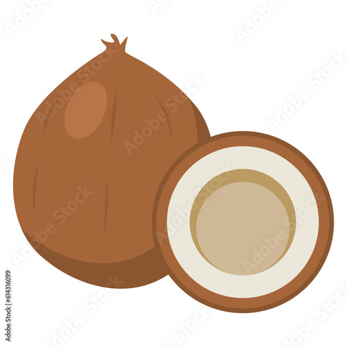 illustration of a coconut