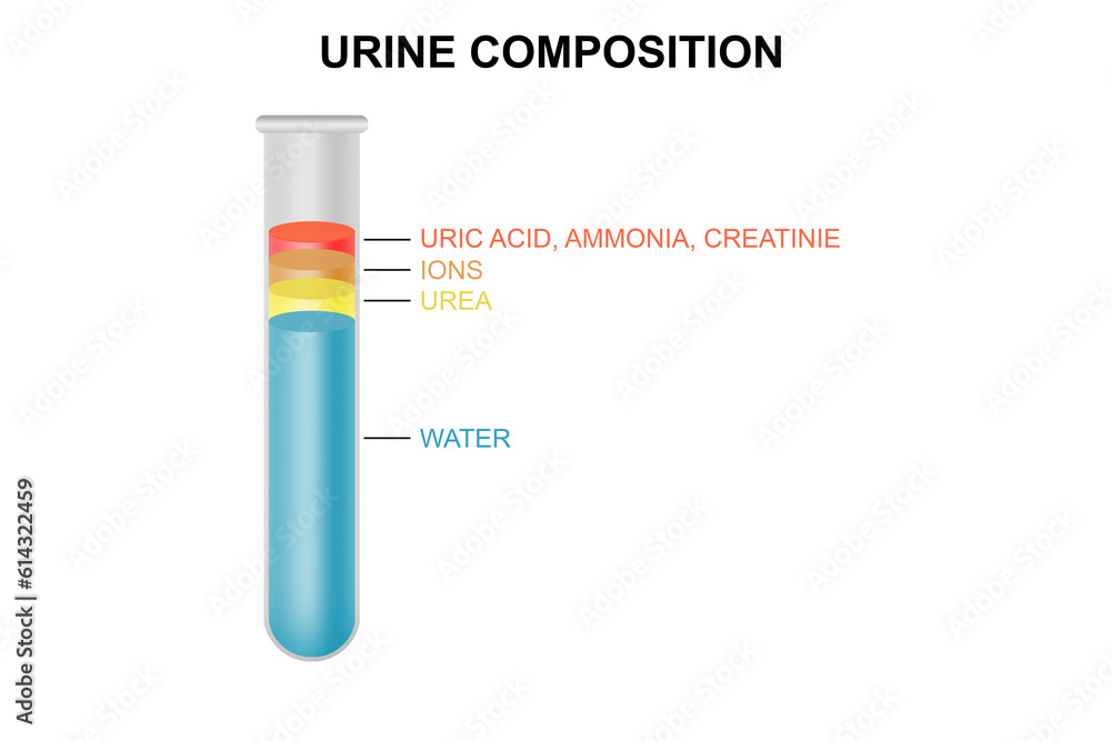 Composition of urine in test tube Composition of urine in test tube