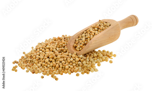 Coriander seeds in scoop isolated on transparent png