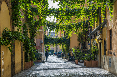 Ruelle végétalisée dans le quartier Transtevere à Rome