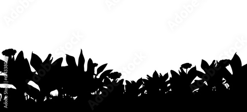 Vector set of plant and tree silhouette. Bush, branch.