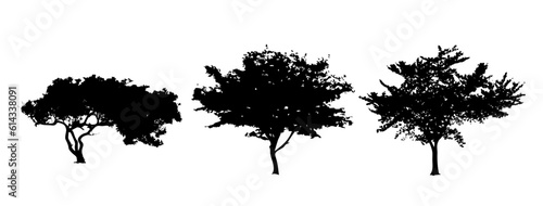Vector set of plant and tree silhouette. Bush, branch.