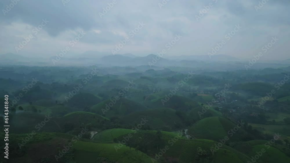 Aerial top view of green fresh tea or strawberry farm, agricultural plant fields with mountain hills in Asia. Rural area. Farm pattern texture. Nature landscape background, Long Coc, Vietnam. Aerial top view of green fresh tea or strawberry farm, agricultural plant fields with mountain hills in Asia. Rural area. Farm pattern texture. Nature landscape background, Long Coc, Vietnam.