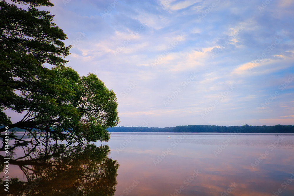 See - Wasser - Baum