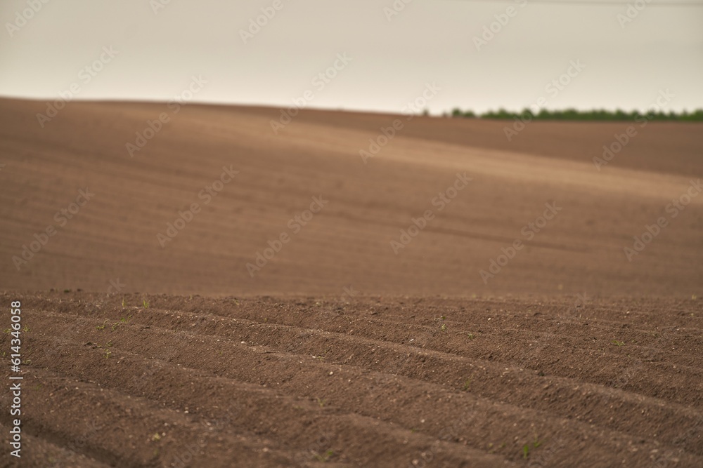 Fototapeta premium Land on the field for planting. Beautiful plowed field and cloudy sky scene
