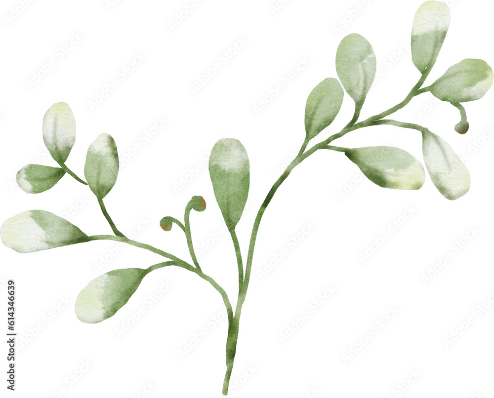 Watercolor Green Leaves Element Watercolor Green Leaves Element