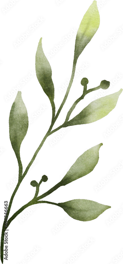 Watercolor Green Leaves Element