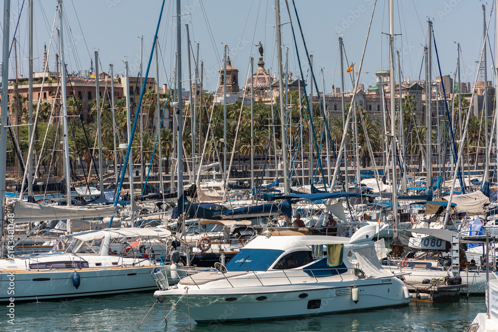 boats in marina