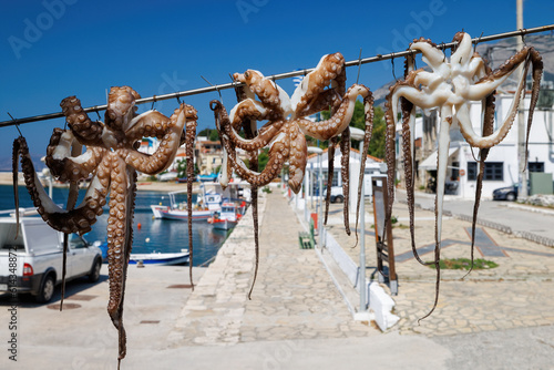Fangfrische Oktopusse hängen zum abtropfen in einem griechischen Hafen
