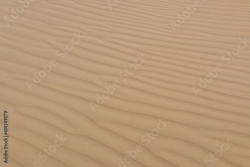 Sand ripples in the dune