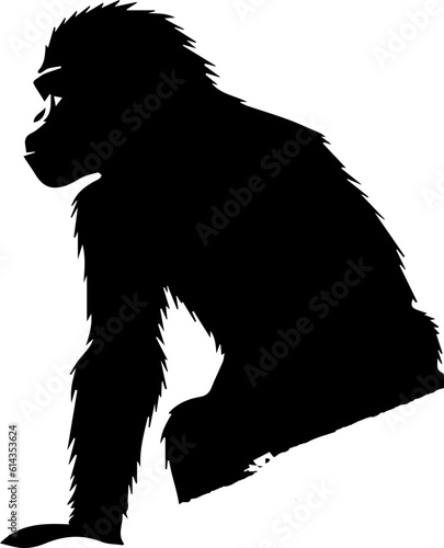 silhuette monkey animal images