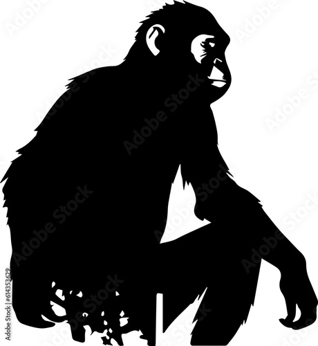 silhuette monkey animal images