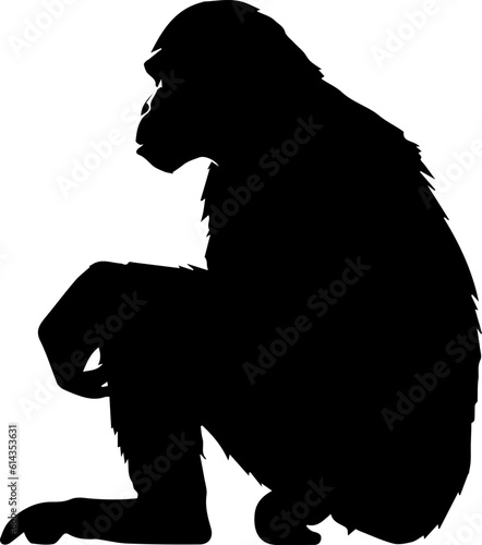 silhuette monkey animal images