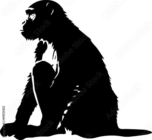 silhuette monkey animal images
