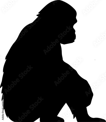silhuette monkey animal images