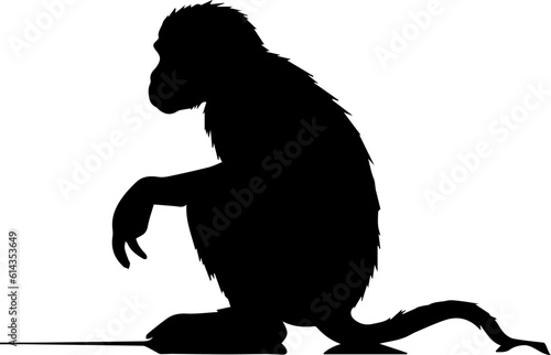 silhuette monkey animal images