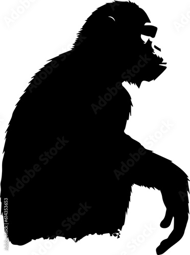 silhuette monkey animal images
