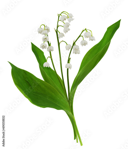 Lily of the valley flowers in a small spring bouquet isolated on white or transparent background