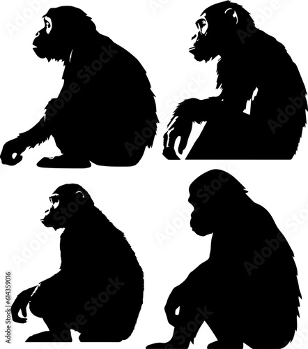 silhuette monkey animal images