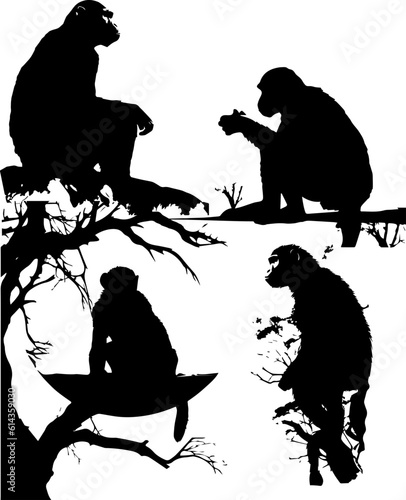 silhuette monkey animal images