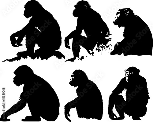 silhuette monkey animal images