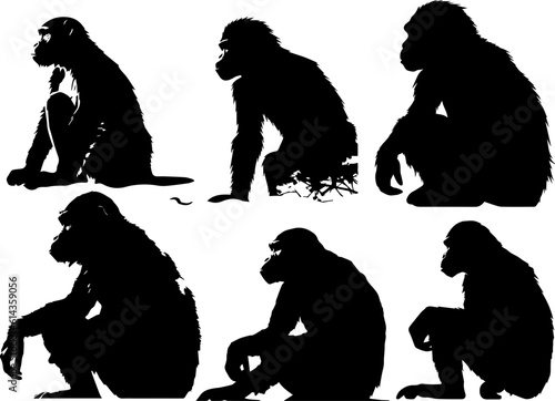 silhuette monkey animal images