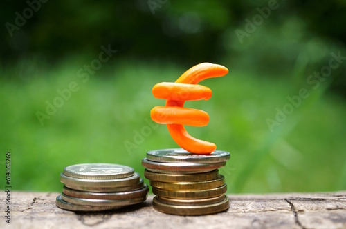 Euro symbol and coins on a green background. Finance and economics.
