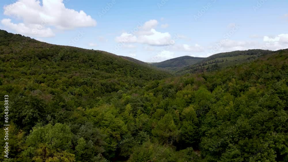 Wide establishing aerial over forest on hillside near Pilis, Hungary. Wide establishing aerial over forest on hillside near Pilis, Hungary.