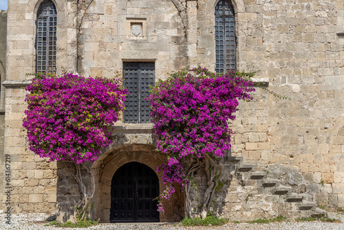 Fototapeta Naklejka Na Ścianę i Meble -  Two blooming trees with purple flowers by stone wall and doorway in old town Rhodes, Greece