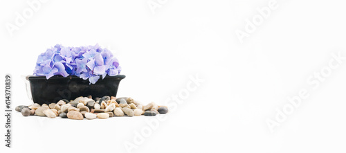 immagine con vaso vecchio rettangolare in terracotta verniciata fiori d'ortensia e ghiaia di fiume su base bianca