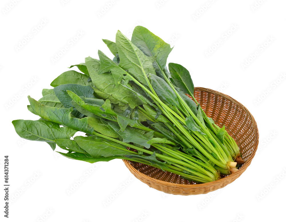 Spinach leaves in basket isolated on transparent png Spinach leaves in basket isolated on transparent png