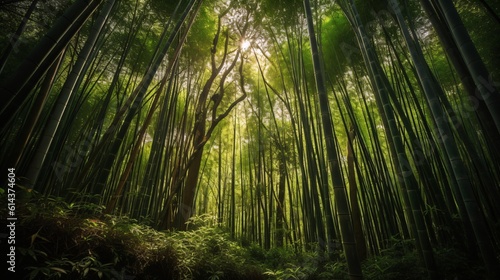 A zen bamboo forest, the towering green stalks creating a calming canopy overhead, with sunlight filtering through . Generative AI