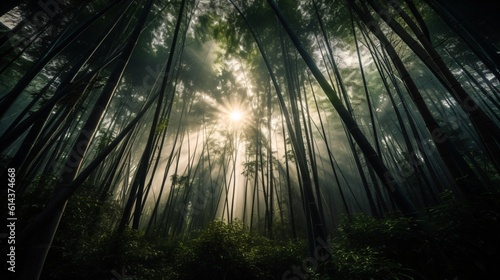 A zen bamboo forest  the towering green stalks creating a calming canopy overhead  with sunlight filtering through . Generative AI