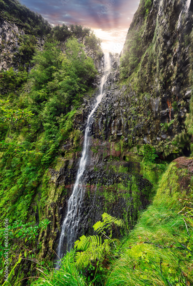 Sunset landscape with Waterfall Risco, levada in Madeira with green vegetation, Portugal Sunset landscape with Waterfall Risco, levada in Madeira with green vegetation, Portugal