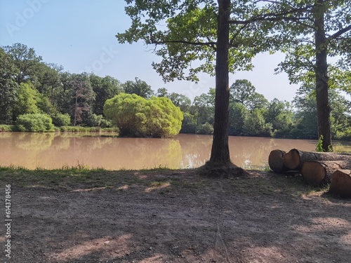 Landscape and nature view in the Bavarian Steigerwald mountains in middle franconia in summer